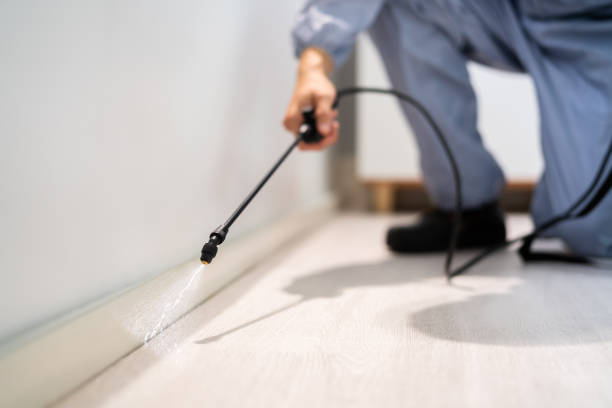 Licensed Cockroach Control service in Butler, GA - Nex Pest Control