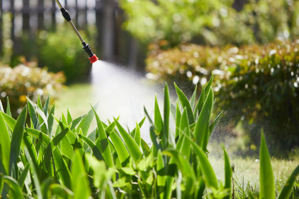 24/7 Emergency Cockroach Control experts in Butler, GA