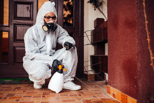 Reliable Cockroach Control contractor in Butler, GA by Nex Pest Control