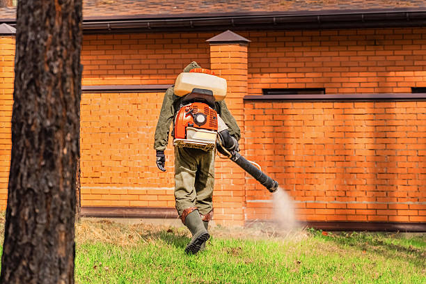 Trusted Ant Control service in Butler, GA - Nex Pest Control